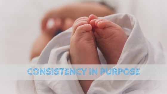 0114 Consistency in Purpose