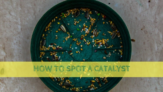 0121 How to Spot a Catalyst