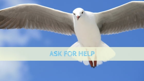 0205 Ask for Help