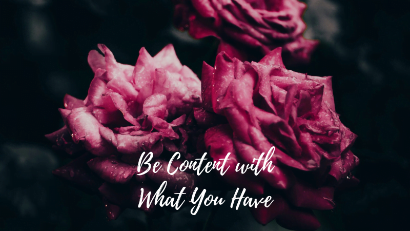 0328 Be Content with What You Have